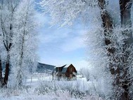 Free Snowy Winter Screensaver screenshot